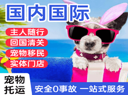 深圳空运地址国际宠物托运 【国